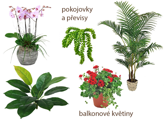 kvalitni-umele-kvetiny-jako-zive